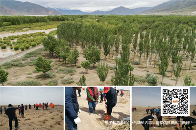 守護(hù)生命奇跡 奇瑞汽車攜手公益行動(dòng)推動(dòng)普氏野馬與雙峰野駱駝保護(hù)及資源再生技術(shù)研發(fā)